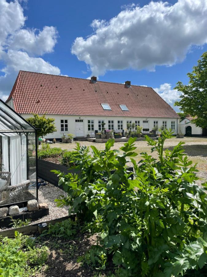 Appartamento Landligt Ophold Pa Midtgard Vamdrup Esterno foto