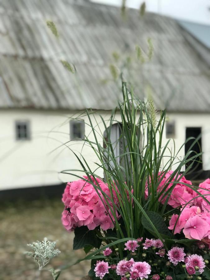 Appartamento Landligt Ophold Pa Midtgard Vamdrup Esterno foto