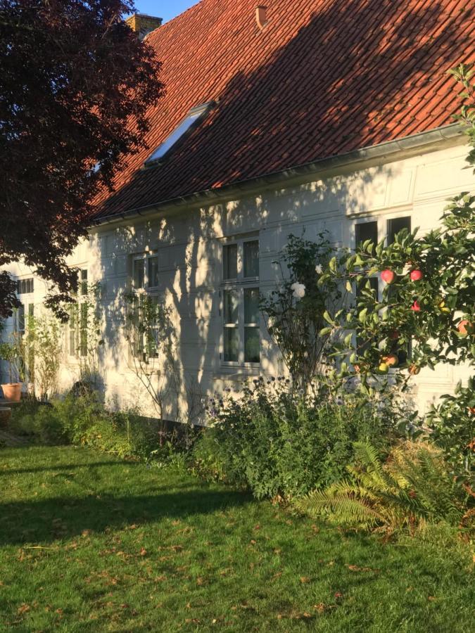 Appartamento Landligt Ophold Pa Midtgard Vamdrup Esterno foto